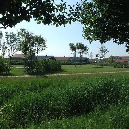 Friedrichskoog-Deichblick 1 Villa Eksteriør billede